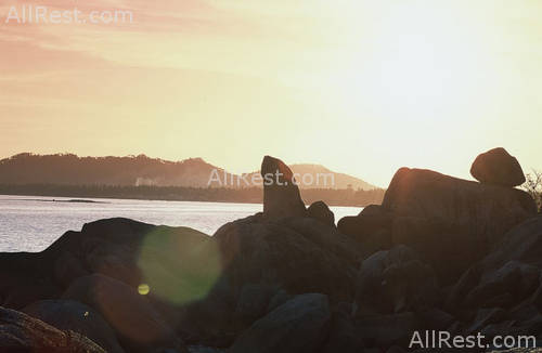 Rocky Resort 49